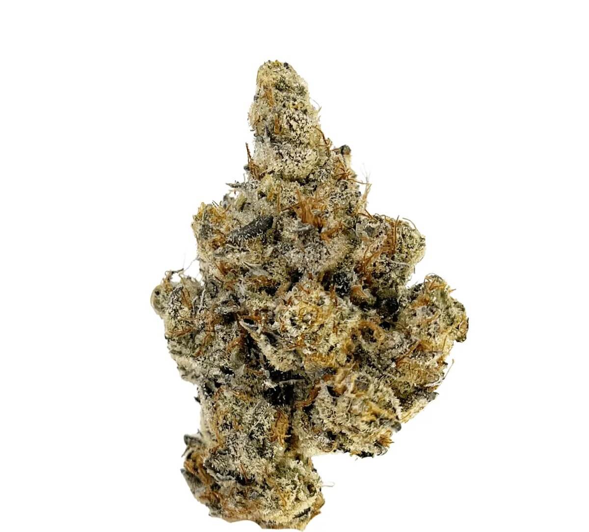 remexian-24-1-myw Remexian 24/1 MYW Mystic Wonder – Bild 1