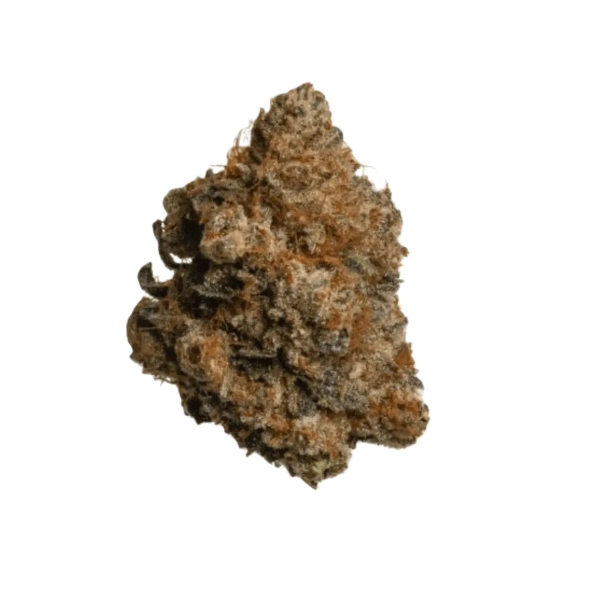 remexian-27-1-bbr-crs Remexian 27/1 BBR CRS Crossbow – Bild 1