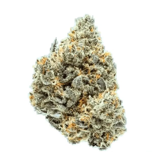 Remexian 27/1 PRT SCK Strawberry Cookies