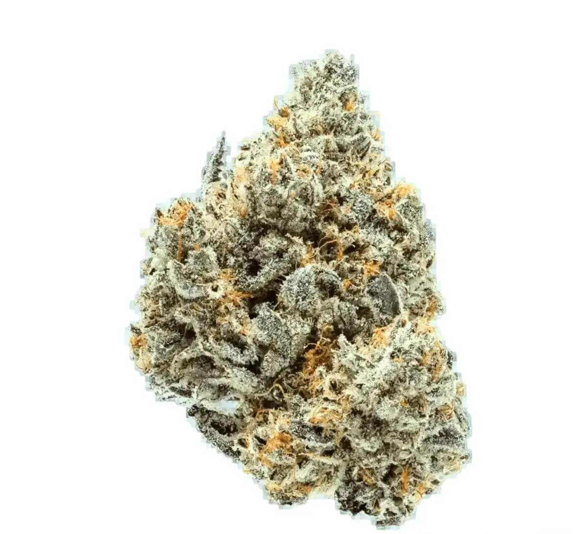 remexian-27-1-prt-sck-strawberry-cookies Remexian 27/1 PRT SCK Strawberry Cookies – Bild 1