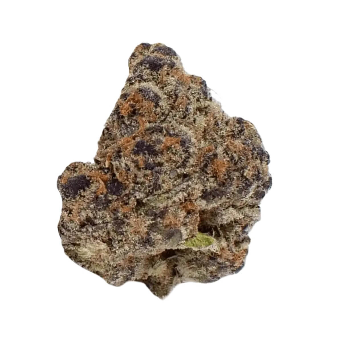 remexian-27-1-swv Remexian 27/1 SWV ShockWave – Bild 1