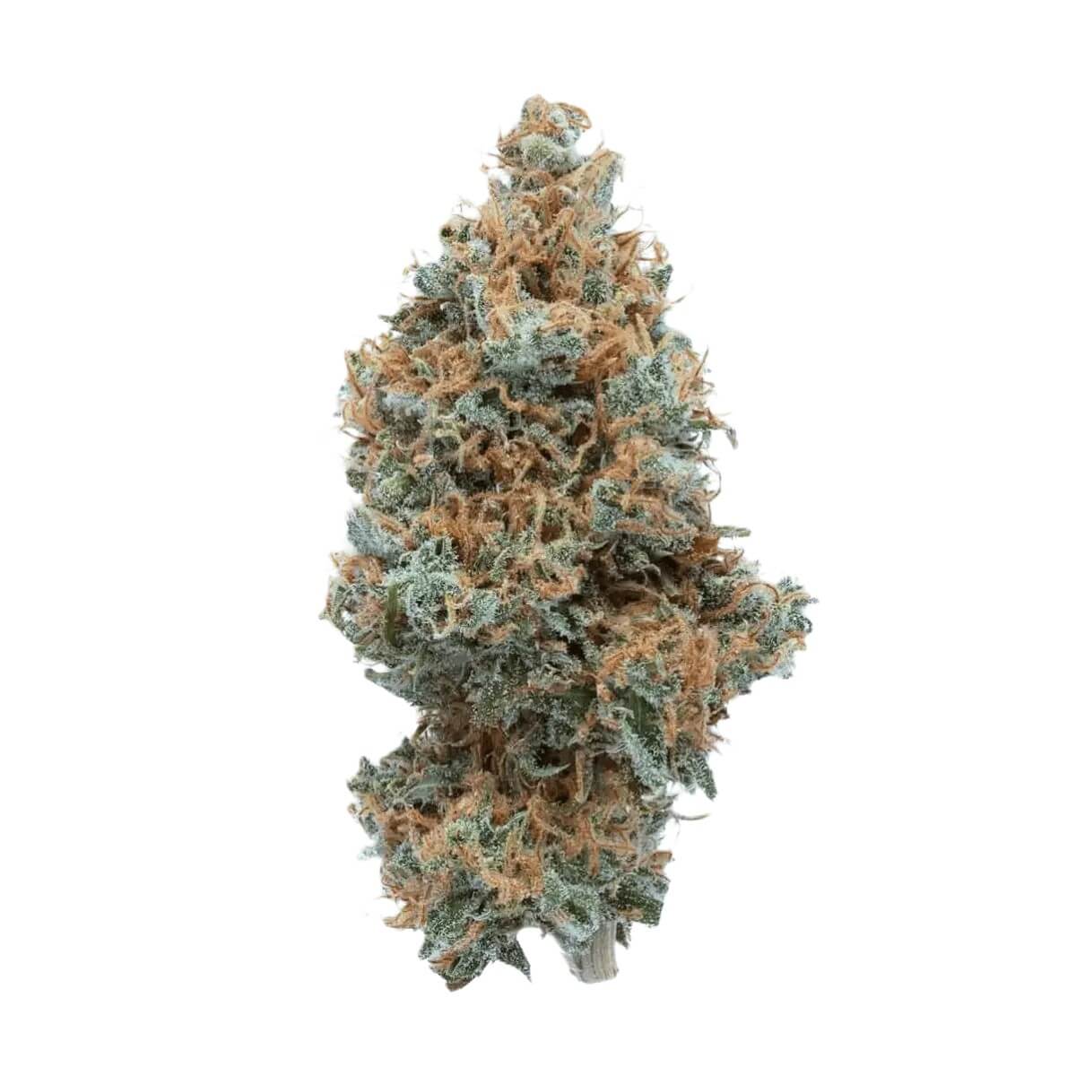 remexian-27-1-trs Remexian 27/1 TRS Tropical Sour – Bild 1