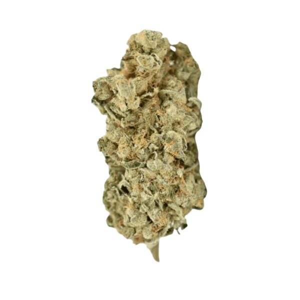 Remexian 30/1 CRN Ventura Dawg