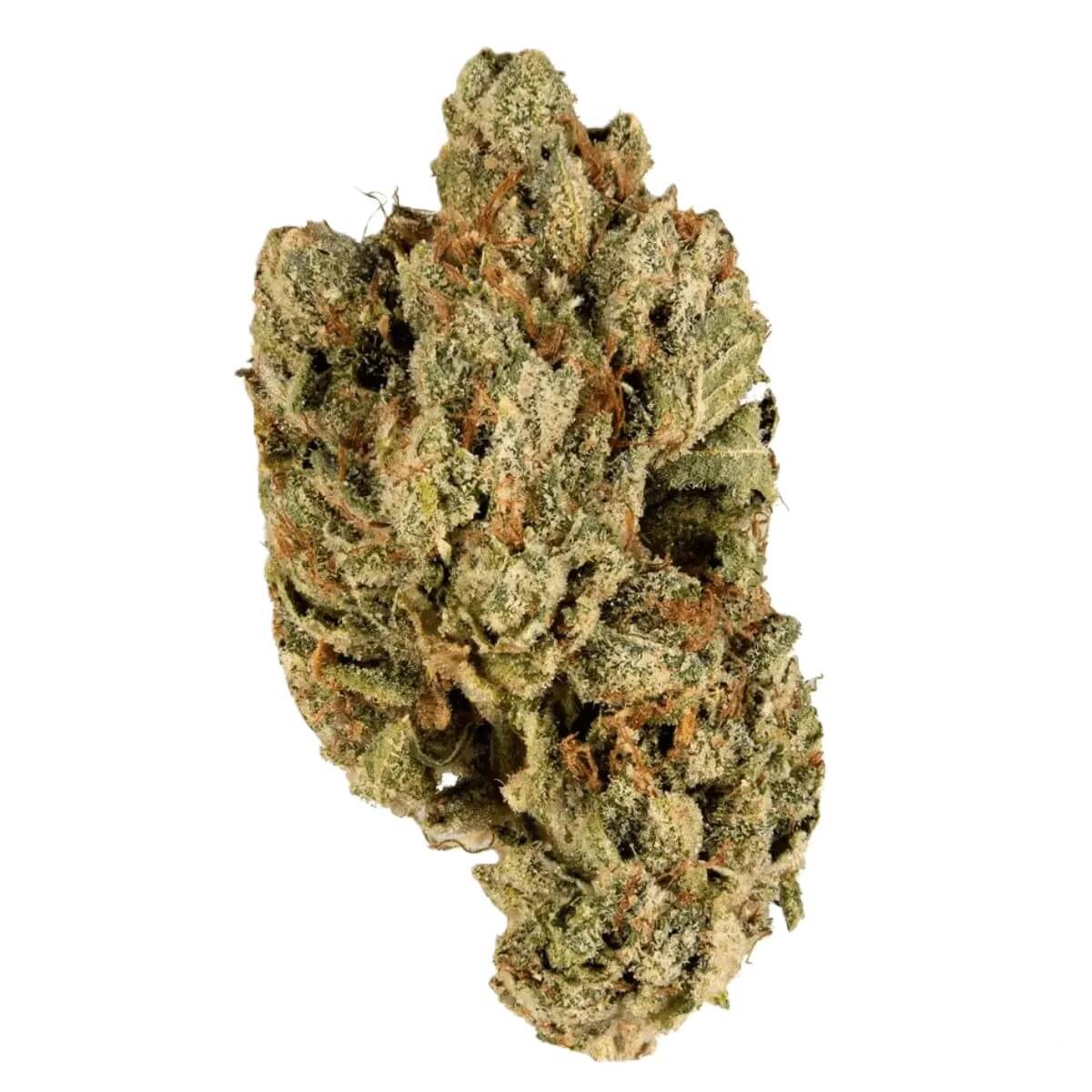 remexian-30-1-heg Remexian 30/1 HEG Helios Gold – Bild 1