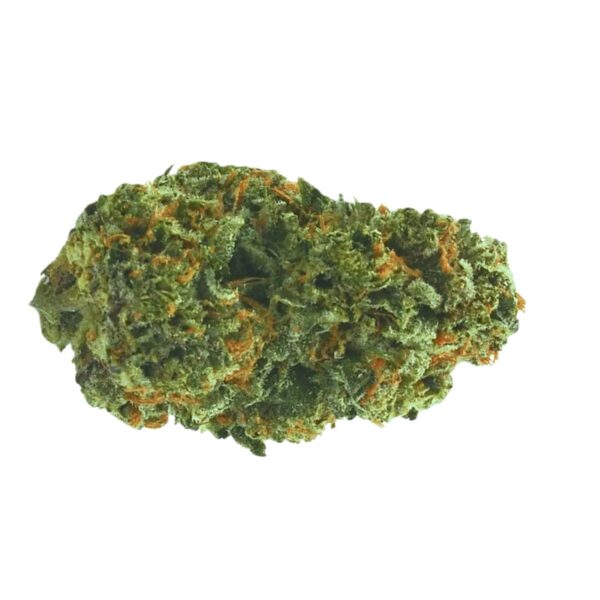 Remexian 30/1 MTL APF Apple Fritter