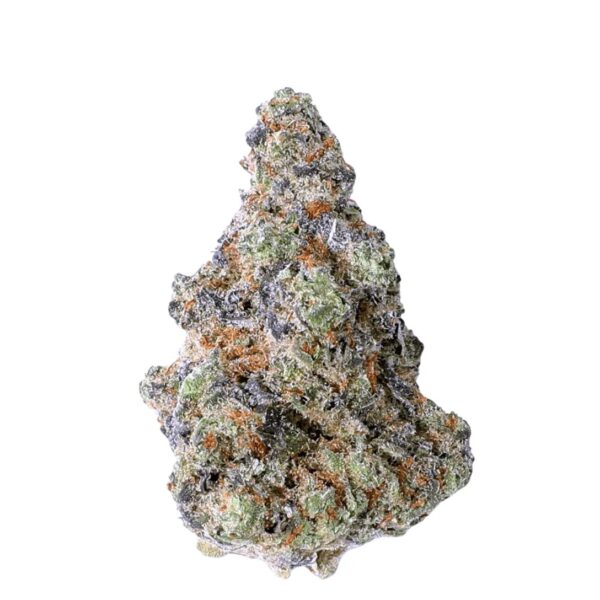 Remexian 30/1 MTL LAB LA Brunch