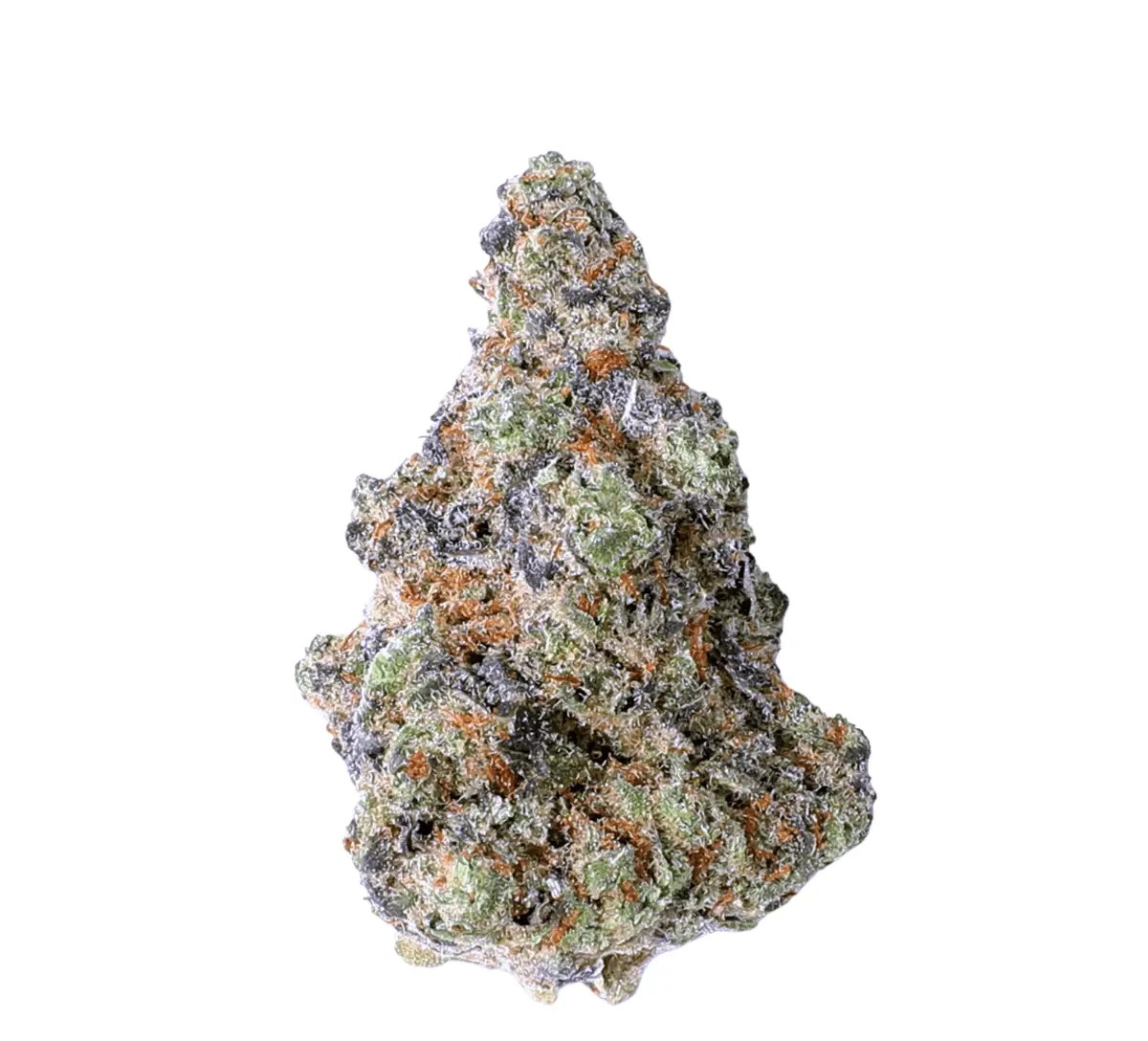 remexian-30-1-mtl-lab Remexian 30/1 MTL LAB LA Brunch – Bild 1