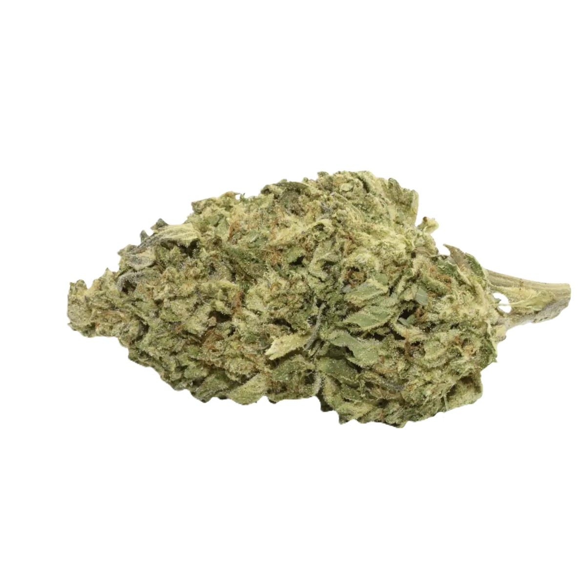 remexian-30-1-mtl-par Remexian 30/1 MTL PAR Pablo's Revenge – Bild 1