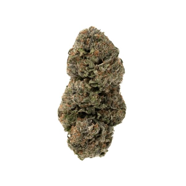 Remexian 30/1 TWE MAN Minty Animal