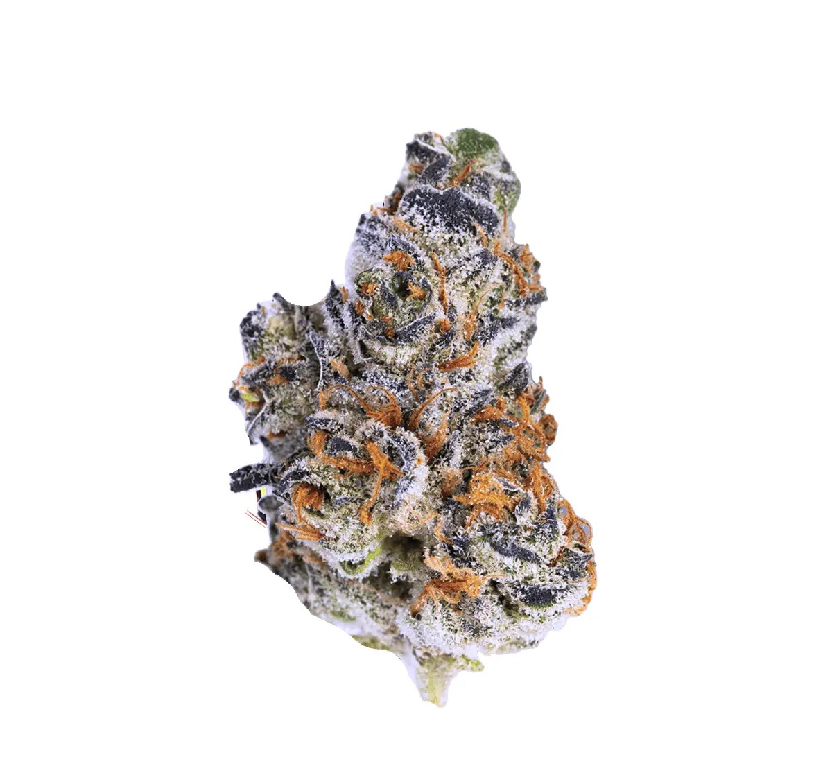 remexian-33-1-crn-grb Remexian 33/1 CRN GRB Garlic Breath – Bild 1