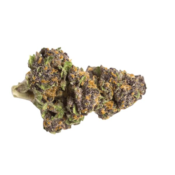 Remexian 33/1 CRN SDS Stardust Swirl