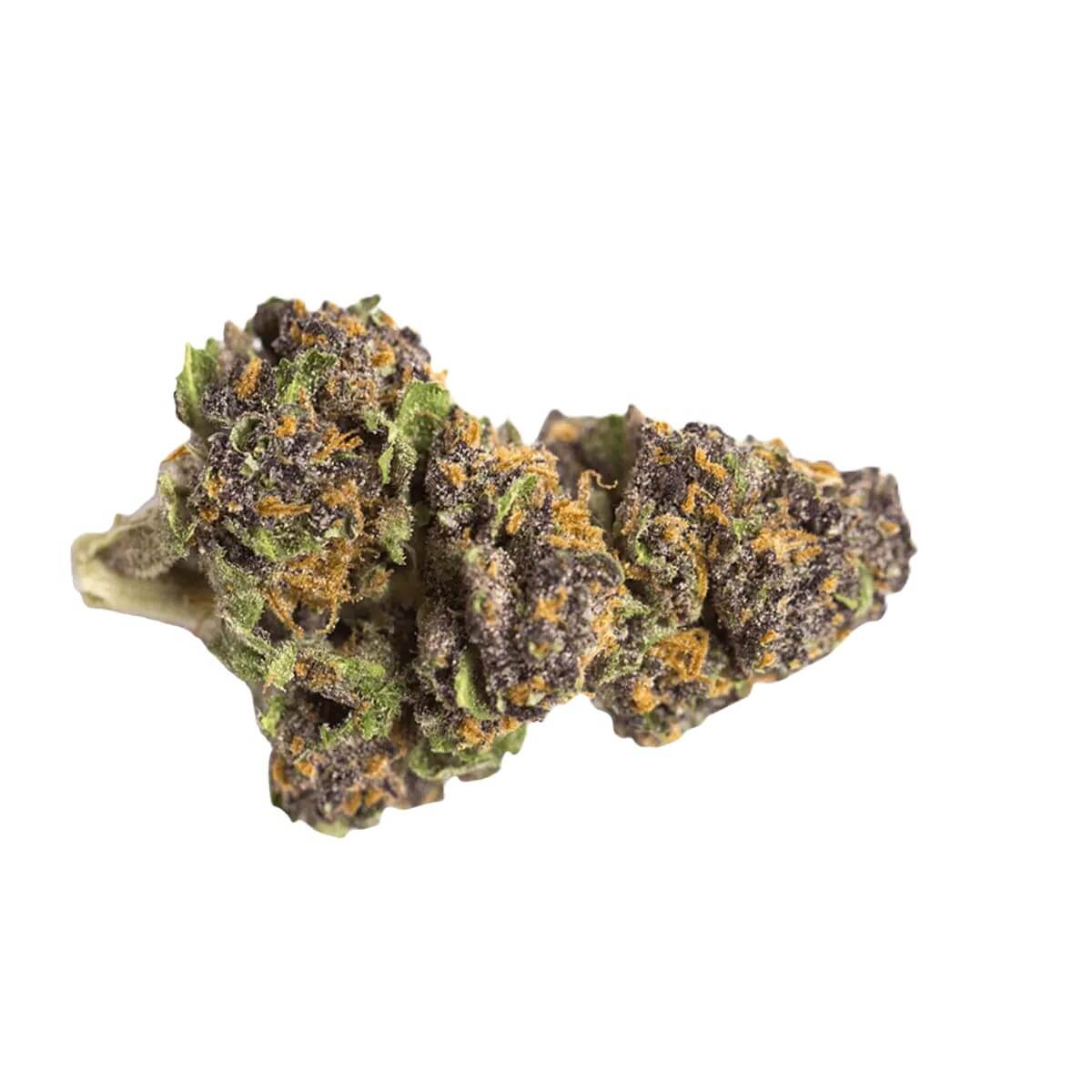 remexian-33-1-crn-sds Remexian 33/1 CRN SDS Stardust Swirl – Bild 1