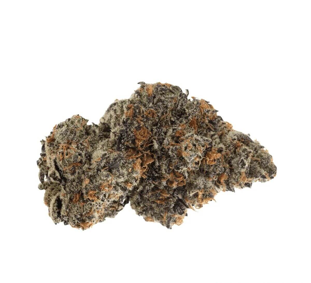 roxton-air-fc Roxton Air FC 21/1 Frosted Cookies – Bild 1