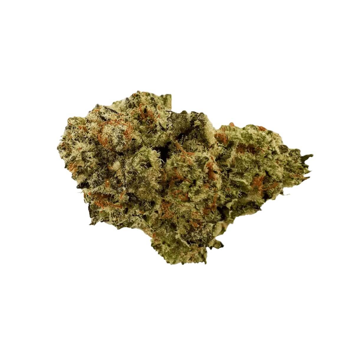 sibanax-crescendo-cookies-24-1 Sibanax Crescendo Cookies 16/1 – Bild 1