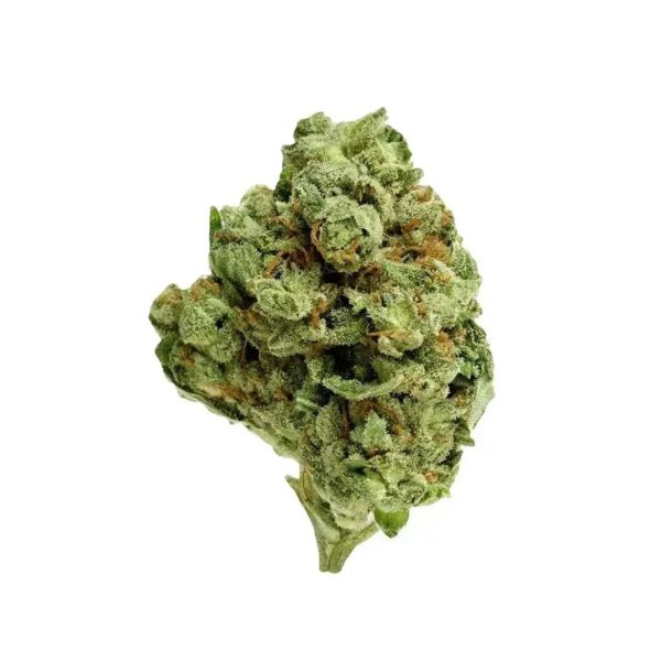 Social Choice! 18/1 SEN GTH Ghost Train Haze