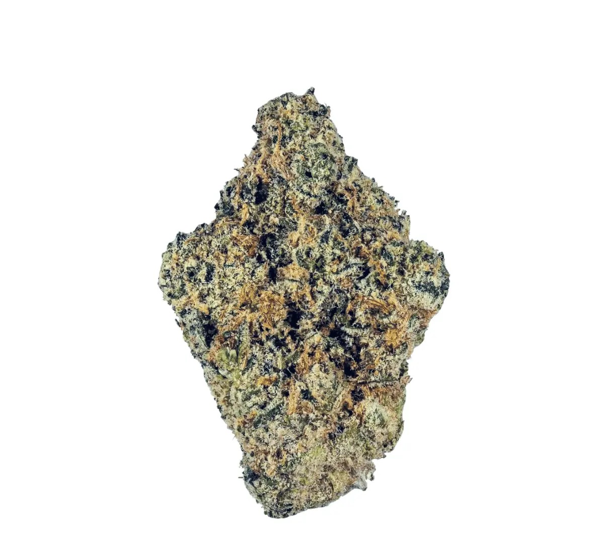 south-african-27-1-mungo South African Mungo 27/1 Mungo – Bild 1