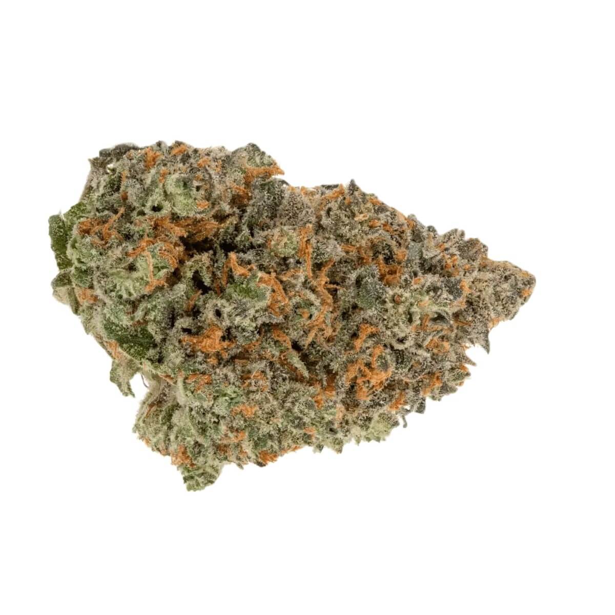 tannenbusch-31-1-tf Tannenbusch 31/1 TF Tubitti Frubitti – Bild 1