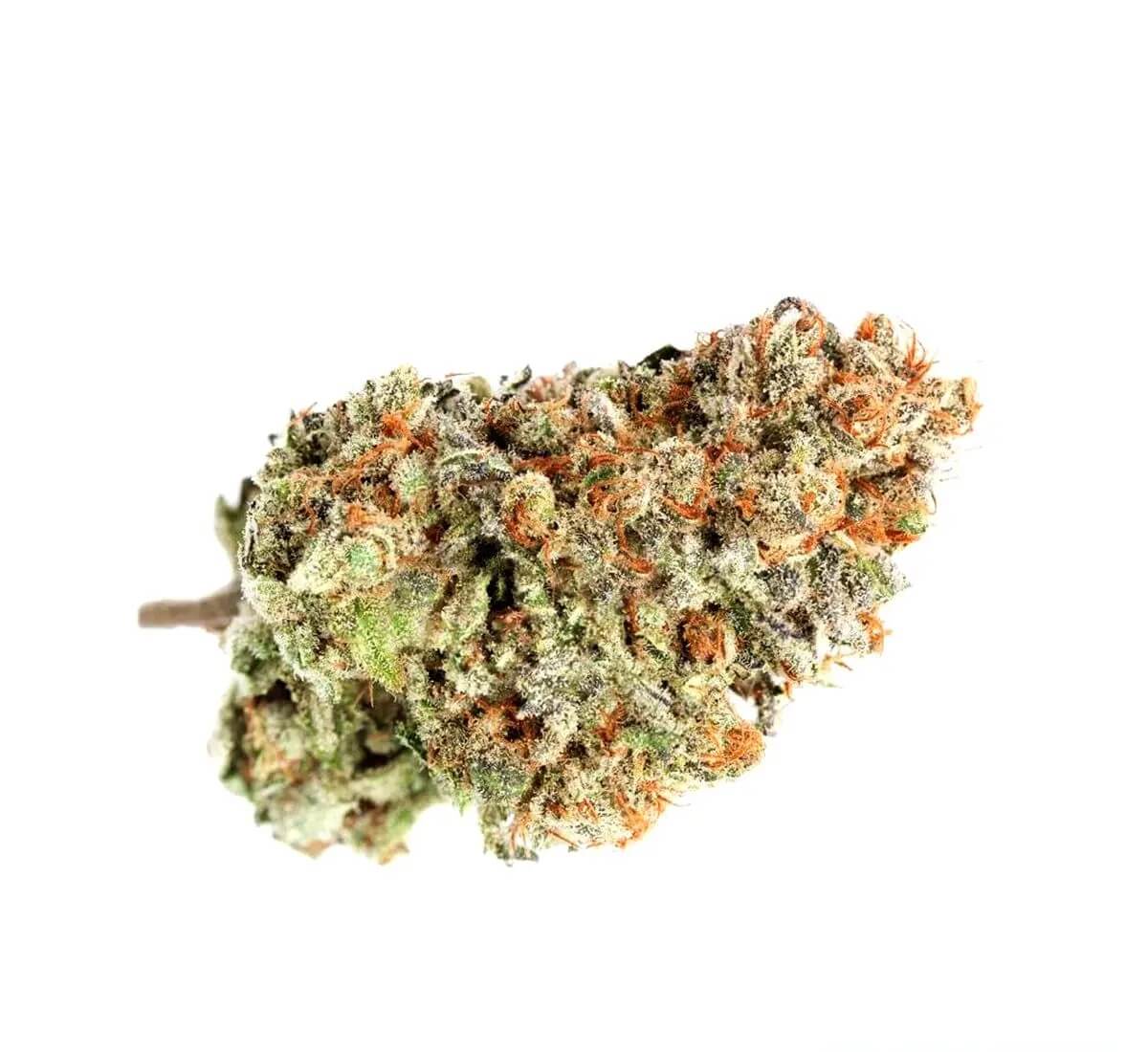 tilray-thc-15-spotlight-porto-blueberry Tilray THC 15 Spotlight Porto Blueberry – Bild 1