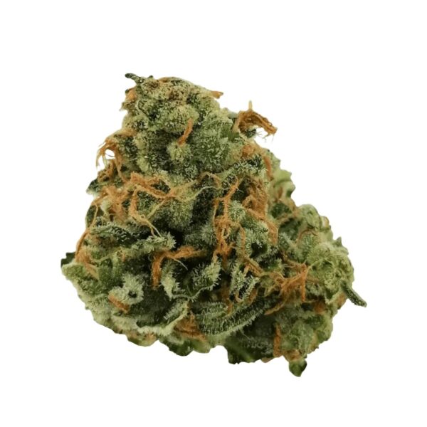 Together Pharma WC 23/1 Wedding Cake