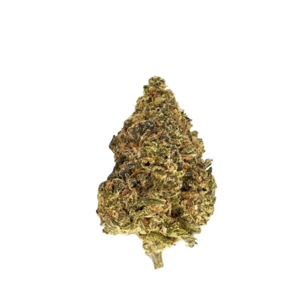 TRUU GT 25:01 Crumbled Lime