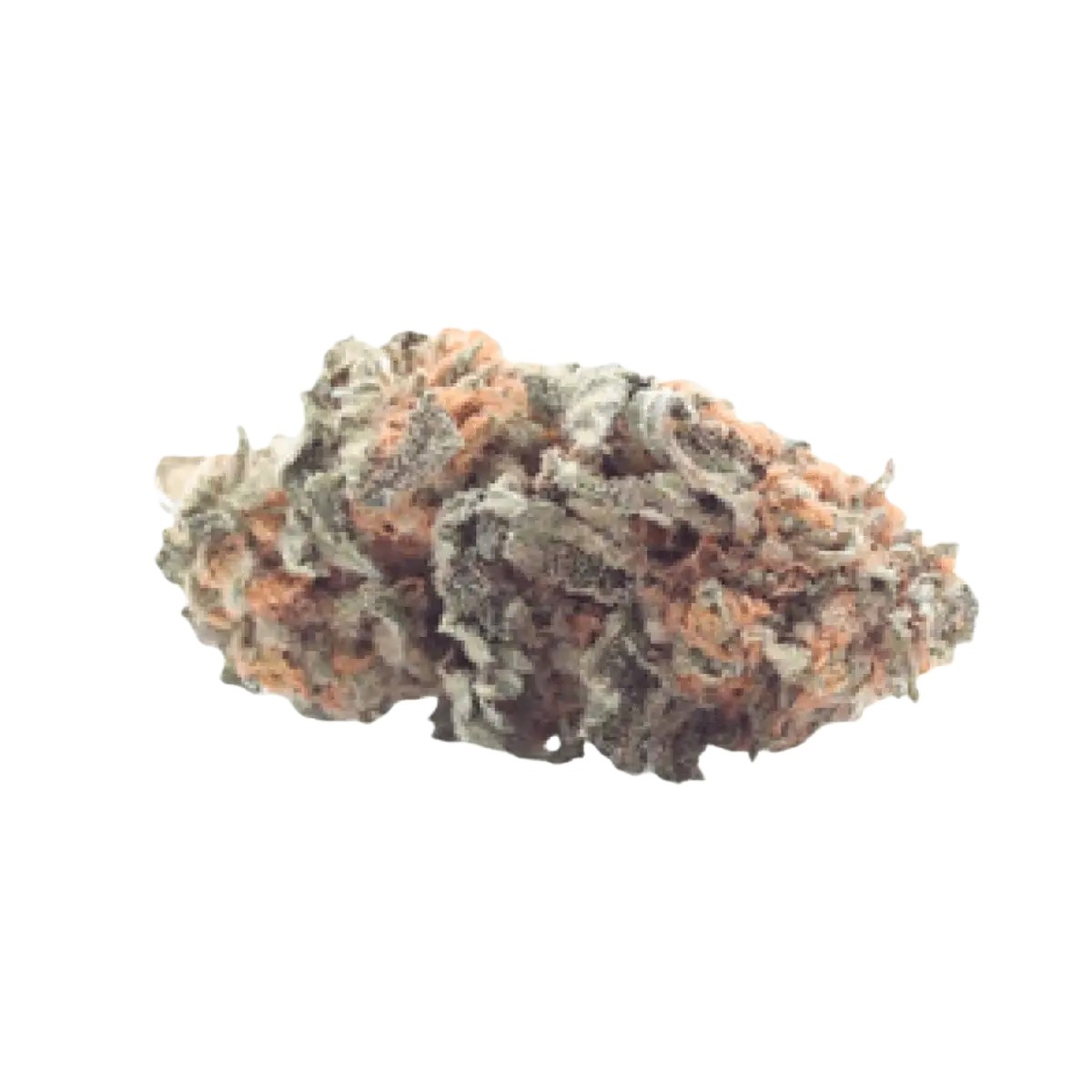 tweed-21-1 Tweed 21/1 Wappa – Bild 1