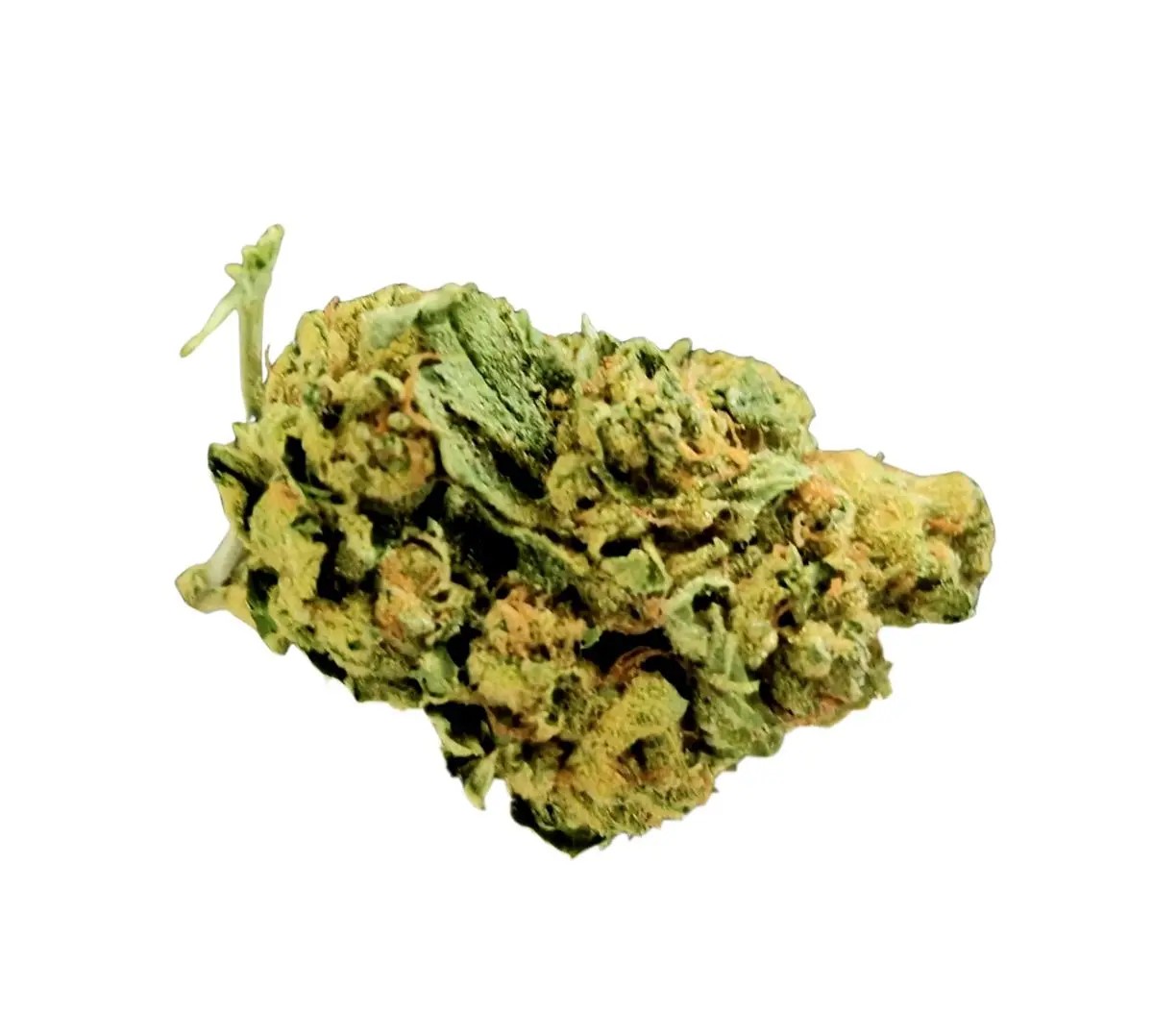 weeco-23-1-frosted-lemon-angel Weeco 23/1 Frosted Lemon Angel – Bild 1