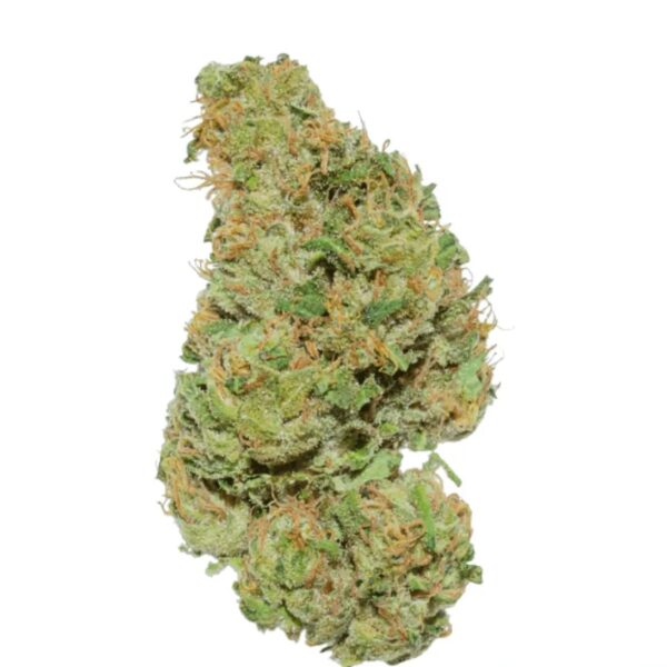 Weeco Duke 20/1 Purple Rain