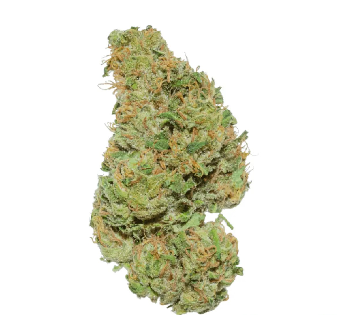 weeco-hk-20-1 Weeco HK 20/1 Hindu Kush – Bild 1
