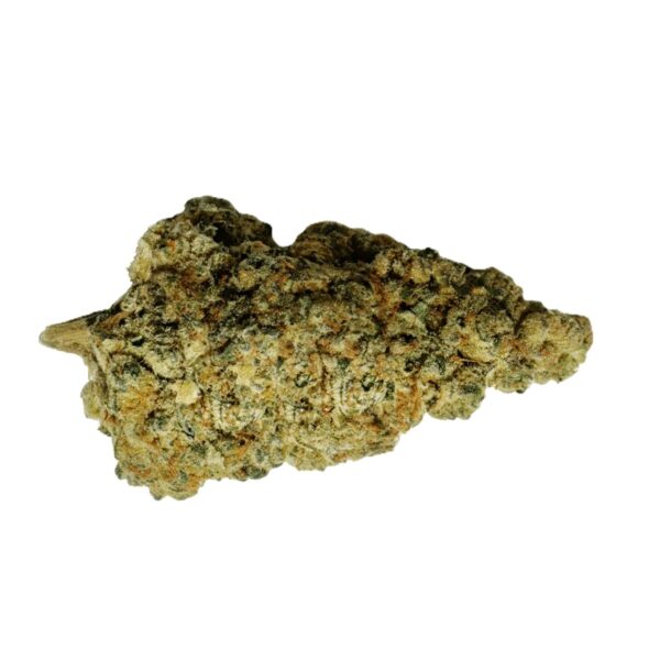 ZOIKS 26/1 BB Ben & Berries