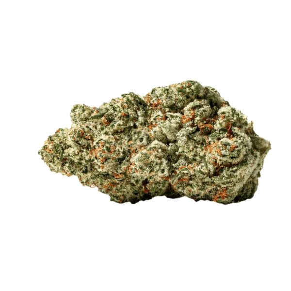 ZOIKS 26/1 SR Space Rider