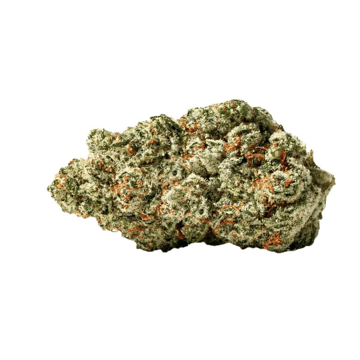 zoiks-26-1-sr ZOIKS 26/1 SR Space Rider – Bild 1