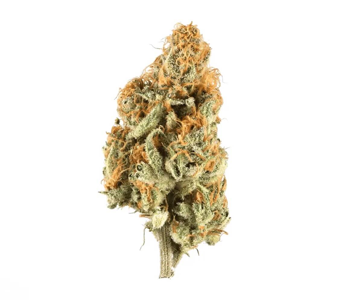 zoiks-31-1-lk ZOIKS 31/1 LK OG Lime Kush – Bild 1