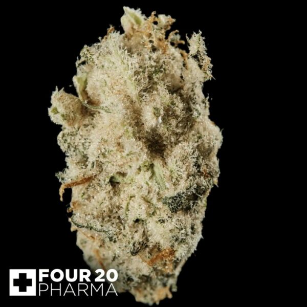 420 Evolution 30/1 CA MSP