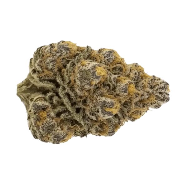 Cannamedical CM 28/1 Craft Lotus