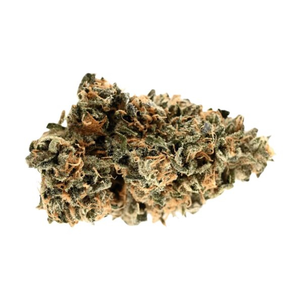 Demecan Craft Pulso 31:01