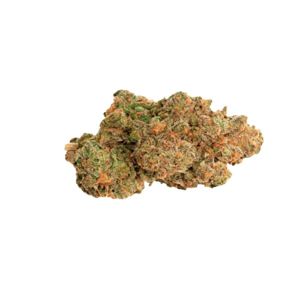 Medical Saints 21/1 OPI