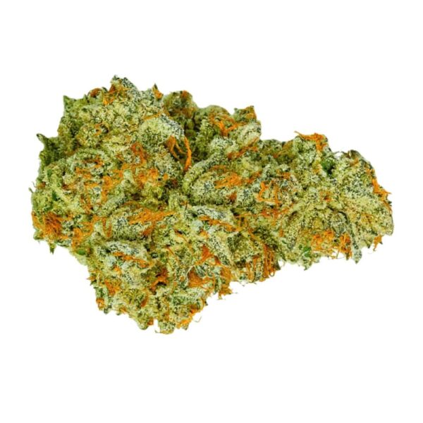 Medical Saints 21/1 USR