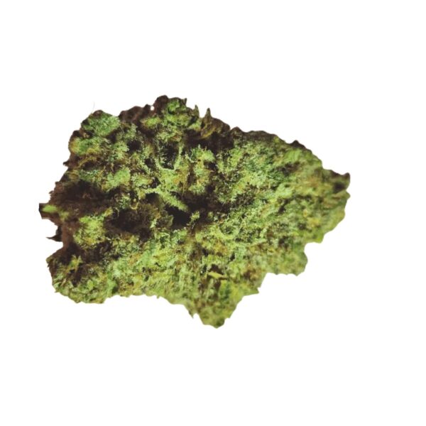 Origine Nature GG 25/1