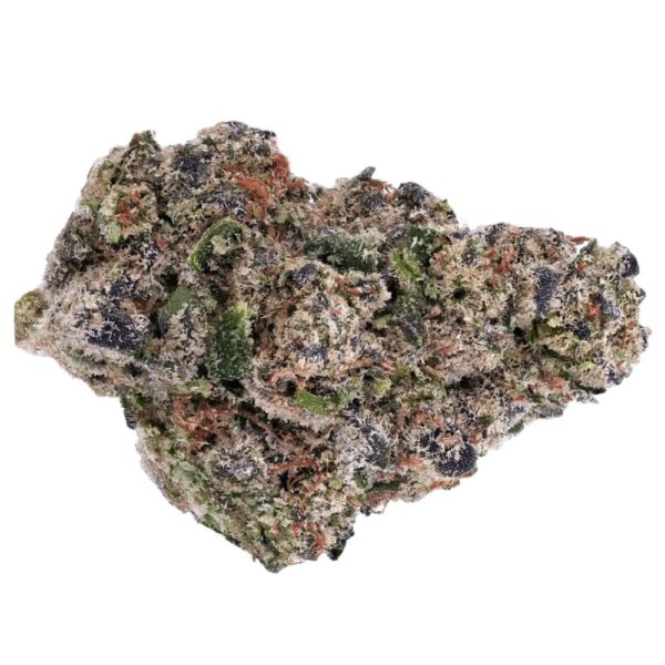 Remexian 24/1 ALL RMG