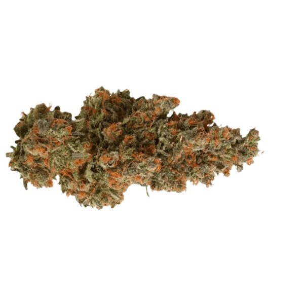 Remexian 27/1 HCC CTF