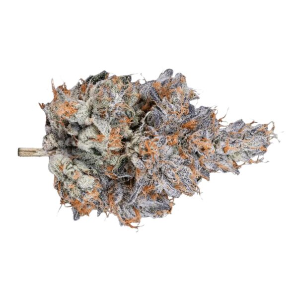 Remexian 30/1 HCC ARR