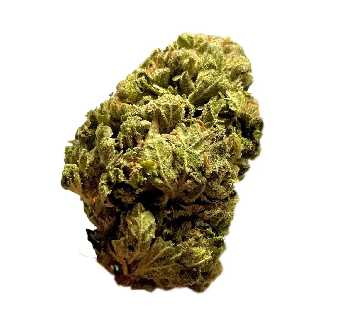 canopy-akh-22 Canopy AKH 22/1 Afghan Kush – Bild 1