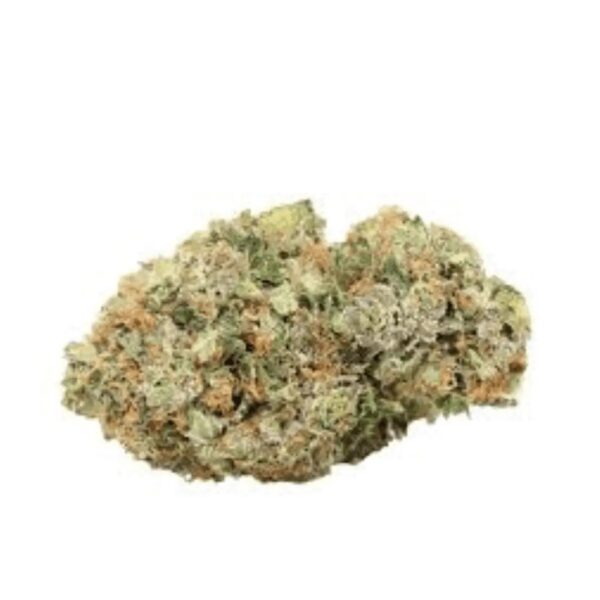BC Green 30/1 PG Pink Grapes
