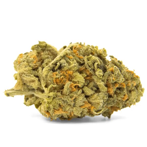 NICE 25/1 RAM Rainbow Amnesia