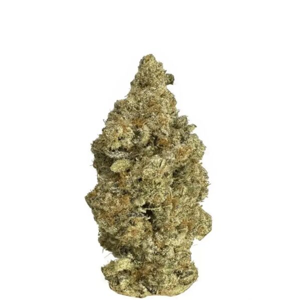 Remexian 27/1 GJY CHO Chocolate Kush