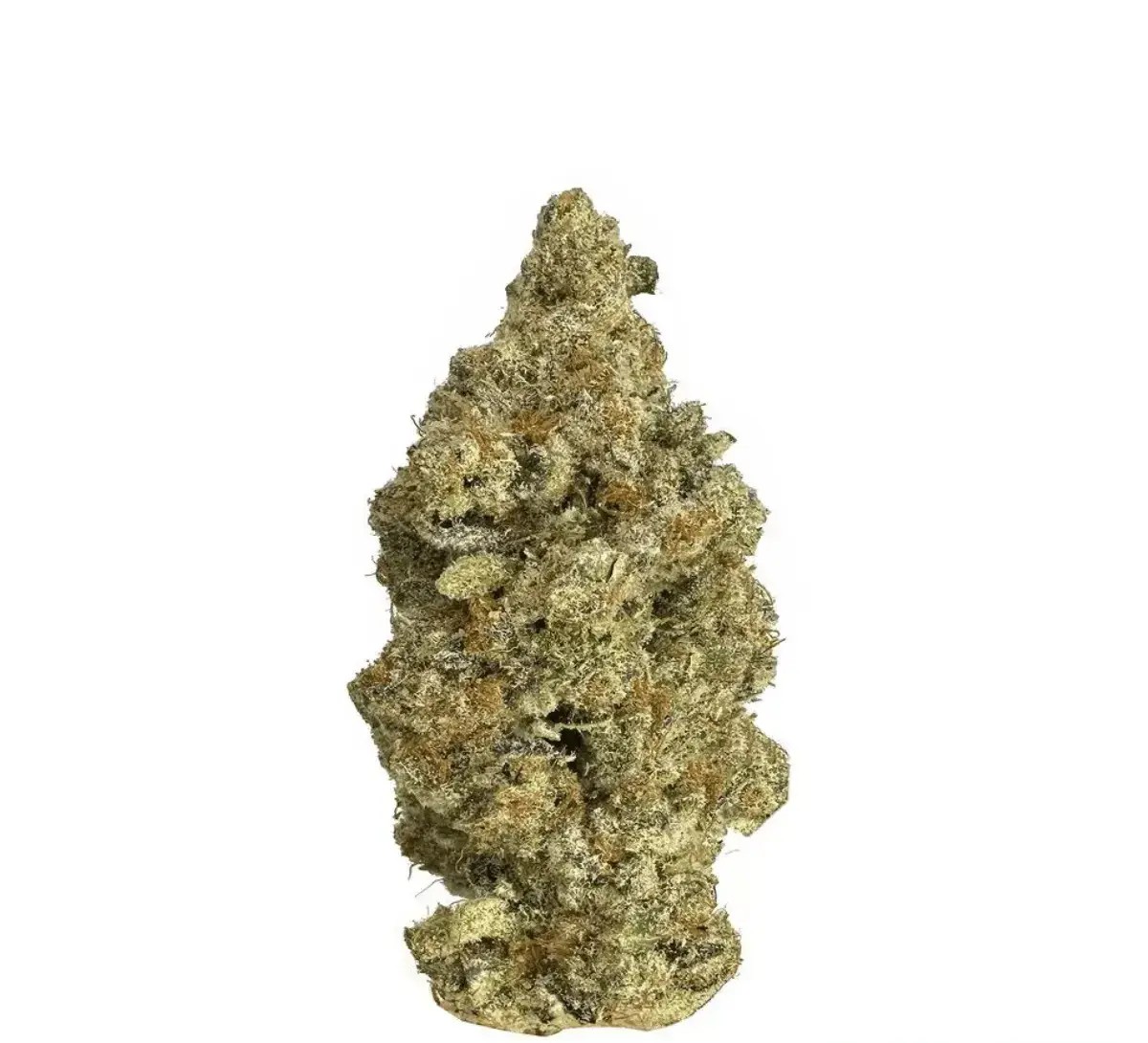 remexian-27-1-gjy-bag Remexian 27/1 GJY MUN Munyunz – Bild 1