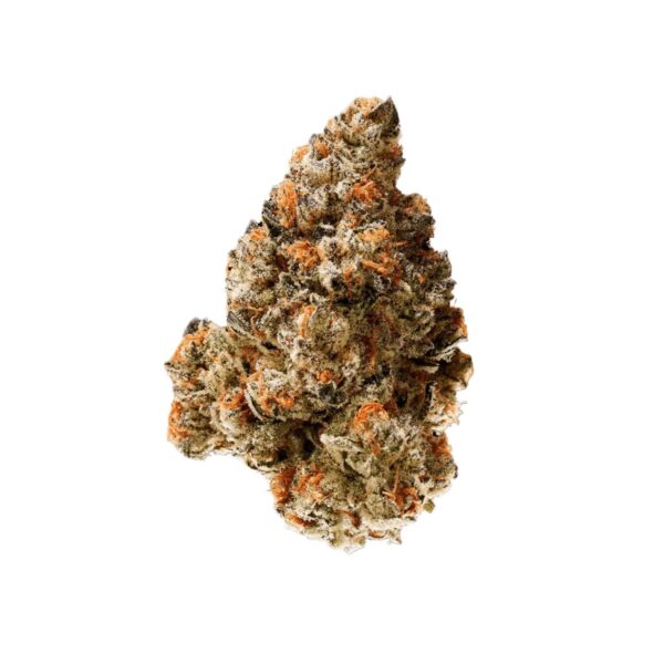bava med 23/1 MAN-CO Mandarin Cookies