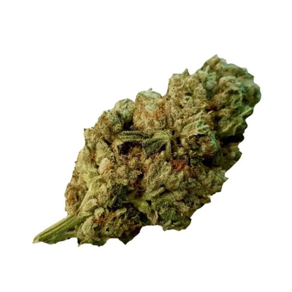Mediprocan African Ruby 26/1 Gorilla Glue