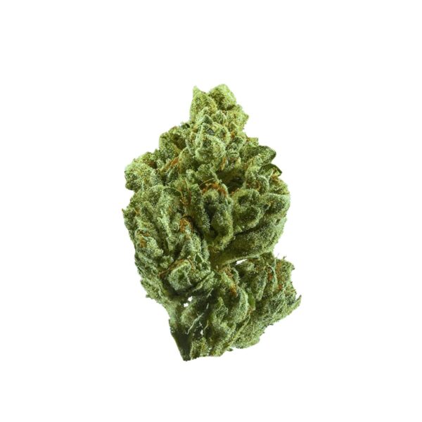 Social Choice 27/1 ALB MKU Mountain Kush