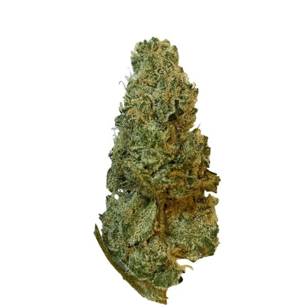 420 Evolution 33/1 CA GMO Cookies
